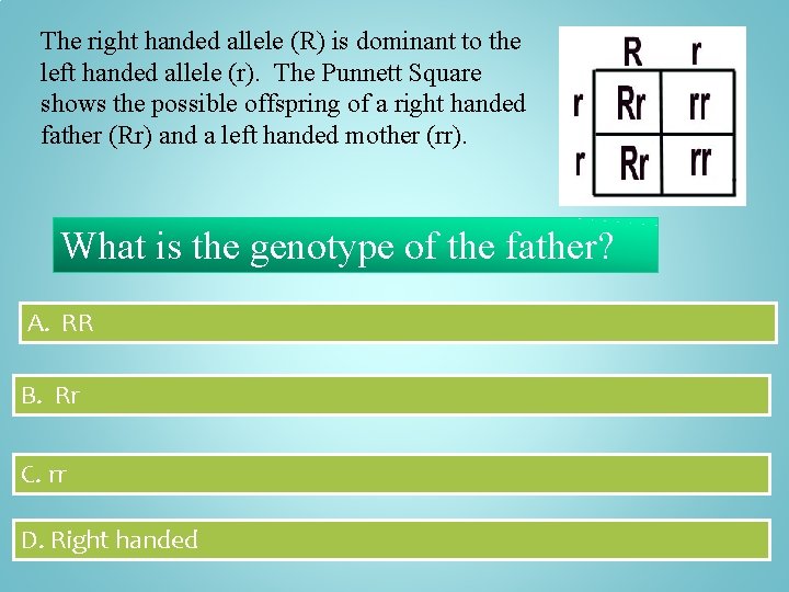The right handed allele (R) is dominant to the left handed allele (r). The