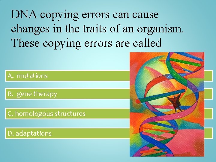 DNA copying errors can cause changes in the traits of an organism. These copying