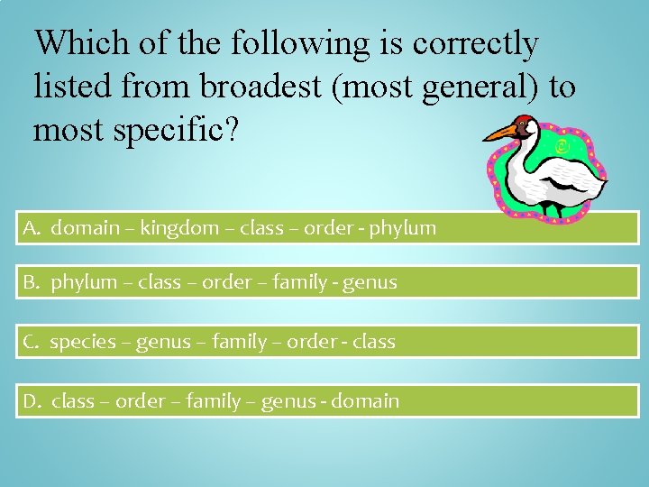Which of the following is correctly listed from broadest (most general) to most specific?