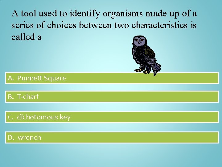 A tool used to identify organisms made up of a series of choices between