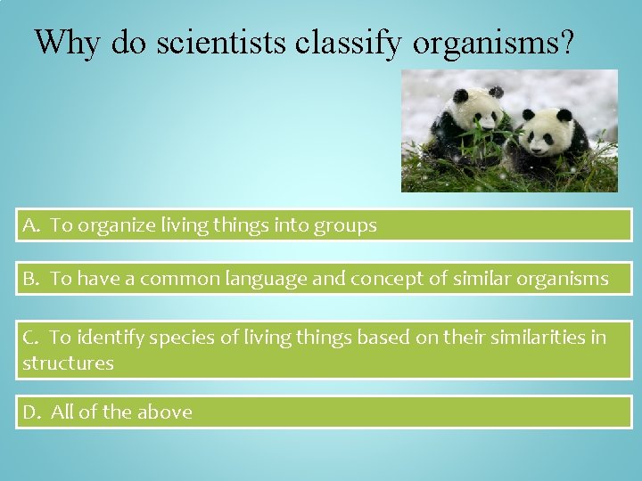 Why do scientists classify organisms? A. To organize living things into groups B. To