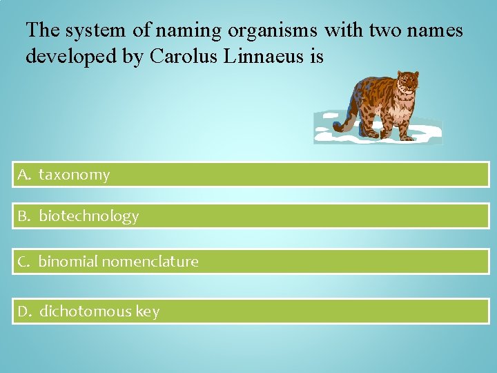 The system of naming organisms with two names developed by Carolus Linnaeus is A.