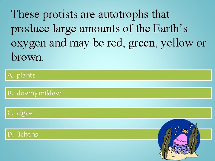 These protists are autotrophs that produce large amounts of the Earth’s oxygen and may