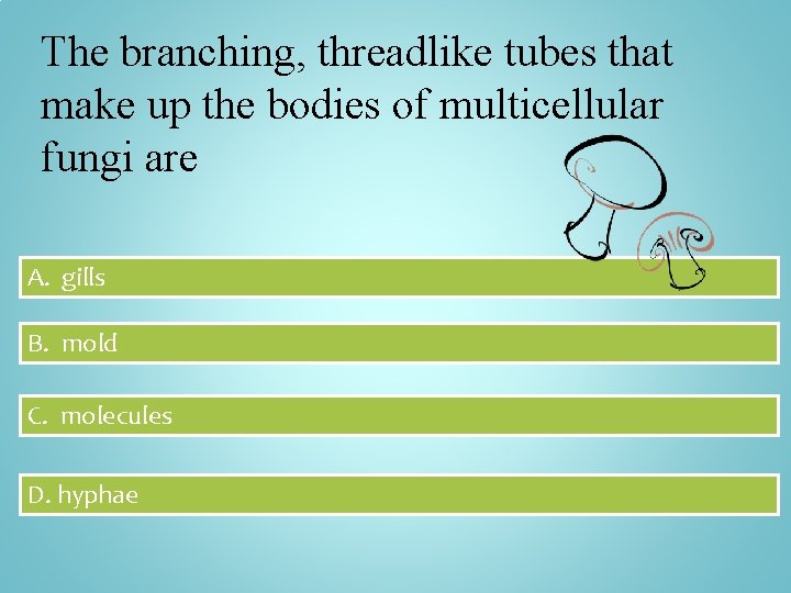 The branching, threadlike tubes that make up the bodies of multicellular fungi are A.