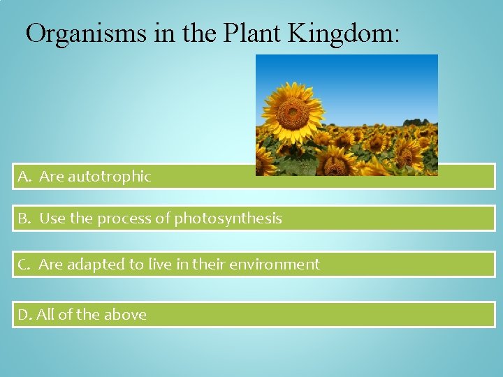 Organisms in the Plant Kingdom: A. Are autotrophic B. Use the process of photosynthesis