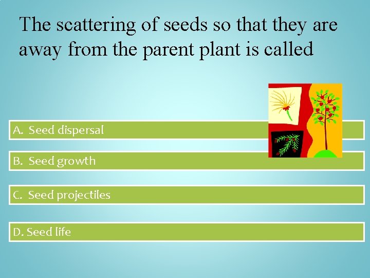 The scattering of seeds so that they are away from the parent plant is