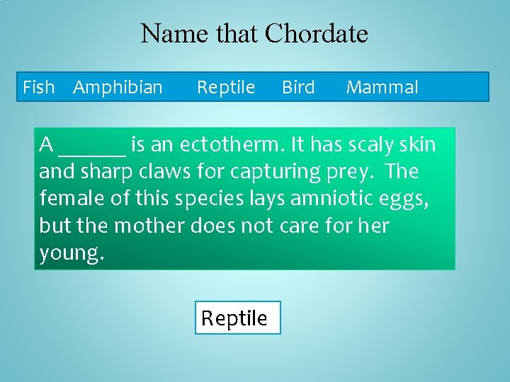 Name that Chordate Fish Amphibian Reptile Bird Mammal A ______ is an ectotherm. It