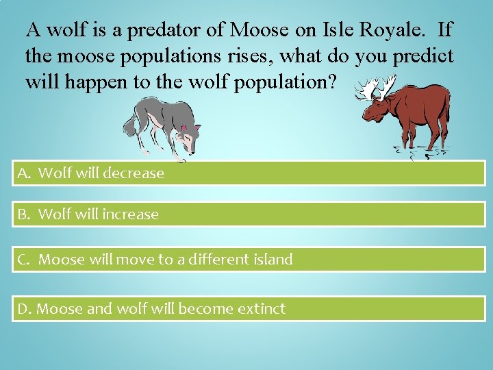 A wolf is a predator of Moose on Isle Royale. If the moose populations