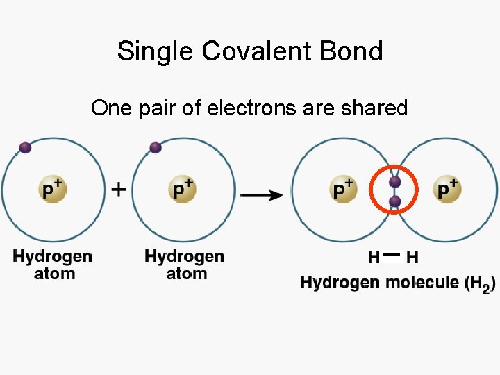 Single Covalent Bond One pair of electrons are shared 