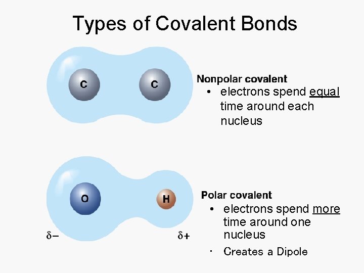 Types of Covalent Bonds • electrons spend equal time around each nucleus • electrons