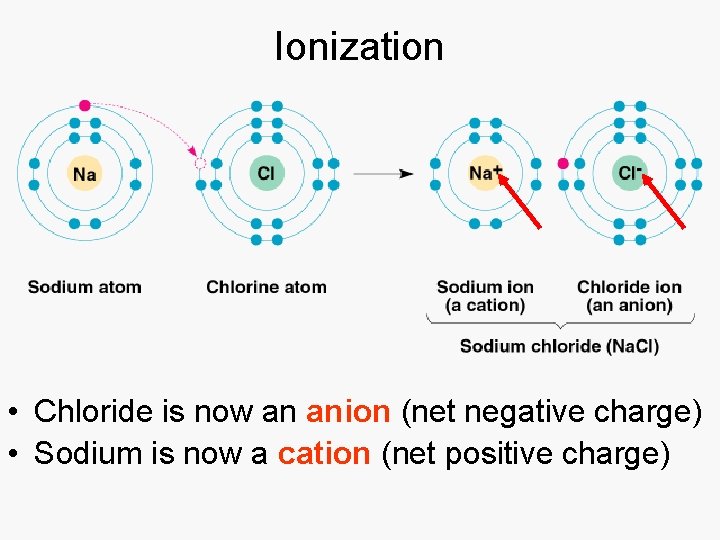 Ionization • Chloride is now an anion (net negative charge) • Sodium is now