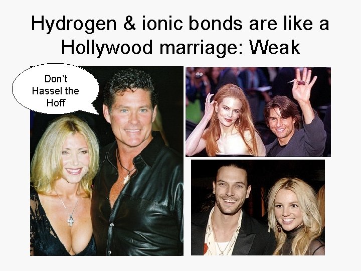 Hydrogen & ionic bonds are like a Hollywood marriage: Weak Don’t Hassel the Hoff