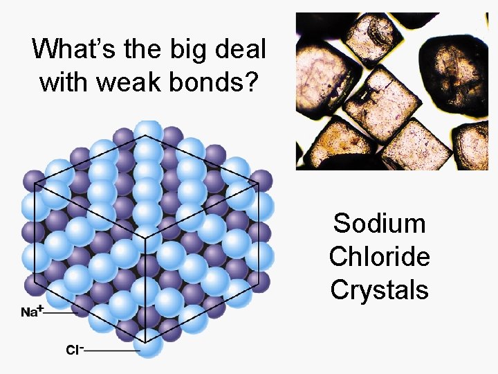 What’s the big deal with weak bonds? Sodium Chloride Crystals 