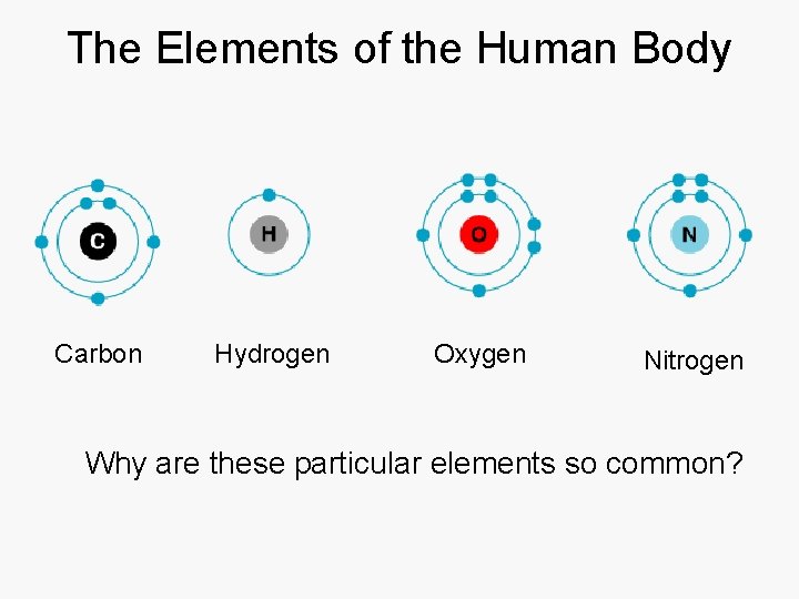 The Elements of the Human Body Carbon Hydrogen Oxygen Nitrogen Why are these particular