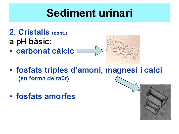 Sediment urinari 2. Cristalls (cont. ) a p. H bàsic: • carbonat càlcic •