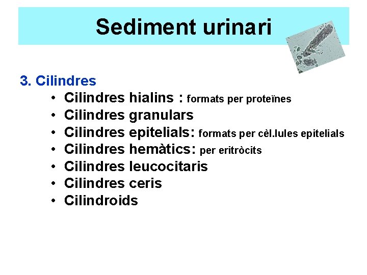 Sediment urinari 3. Cilindres • Cilindres hialins : formats per proteïnes • Cilindres granulars