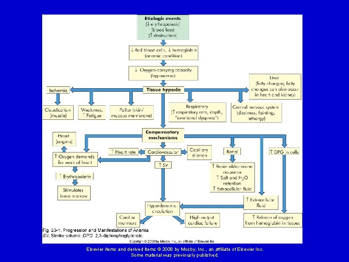 Elsevier items and derived items © 2008 by Mosby, Inc. , an affiliate of