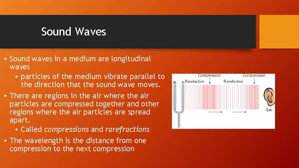 Sound Waves • Sound waves in a medium are longitudinal waves • particles of