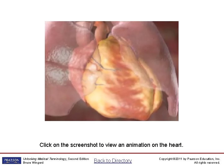 Heart Animation Click on the screenshot to view an animation on the heart. Unlocking