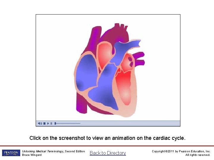 Cardiac Cycle Animation Click on the screenshot to view an animation on the cardiac