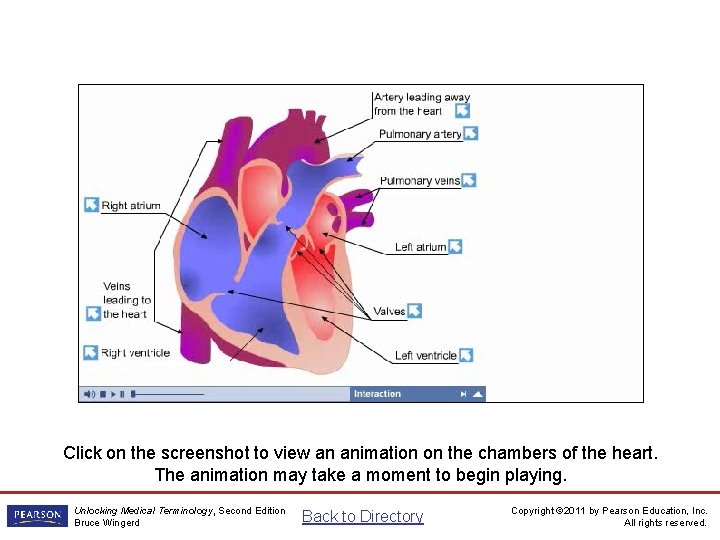 Heart Chambers Animation Click on the screenshot to view an animation on the chambers