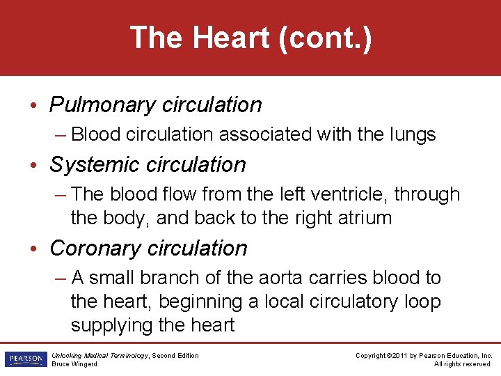 The Heart (cont. ) • Pulmonary circulation – Blood circulation associated with the lungs