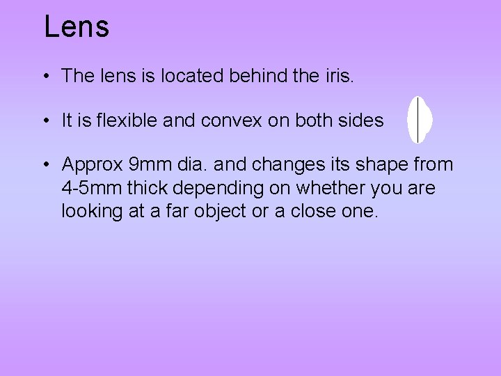Lens • The lens is located behind the iris. • It is flexible and