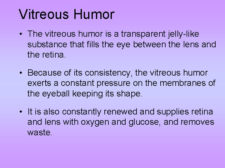 Vitreous Humor • The vitreous humor is a transparent jelly-like substance that fills the