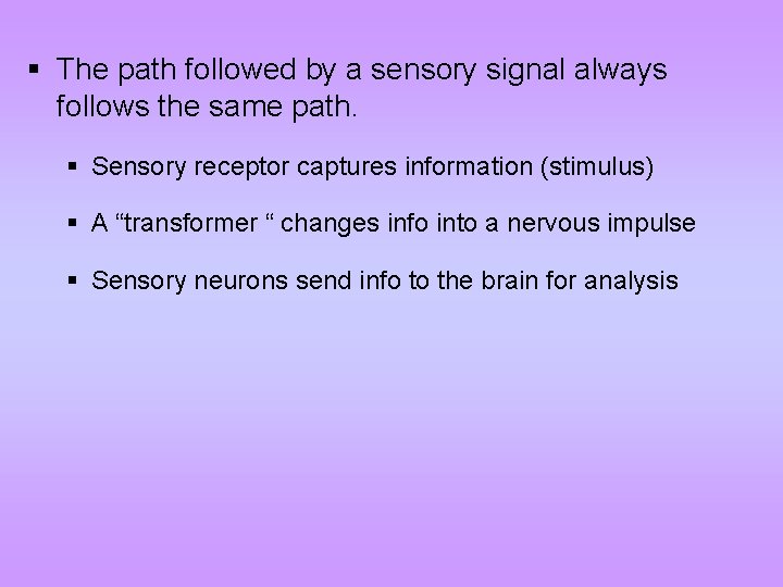 § The path followed by a sensory signal always follows the same path. §