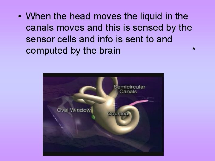  • When the head moves the liquid in the canals moves and this