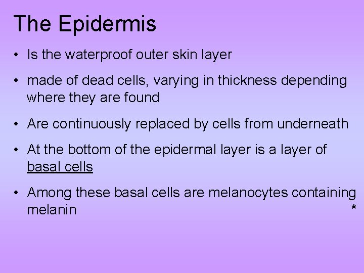 The Epidermis • Is the waterproof outer skin layer • made of dead cells,