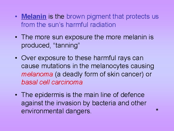  • Melanin is the brown pigment that protects us from the sun’s harmful