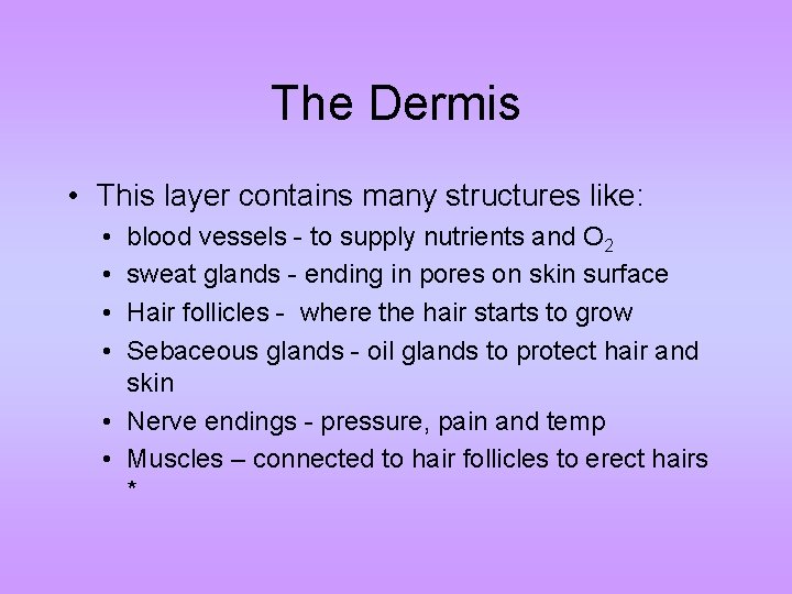 The Dermis • This layer contains many structures like: • • blood vessels -