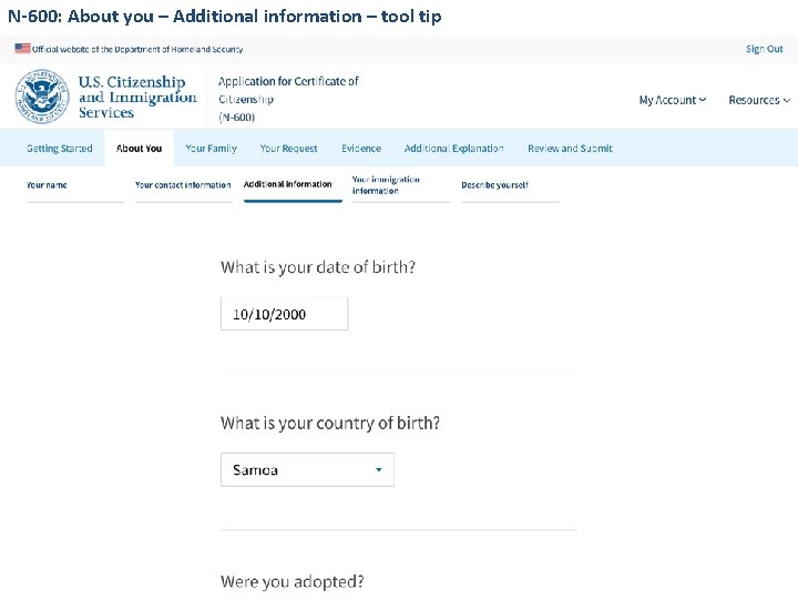 N-600: About you – Additional information – tool tip 