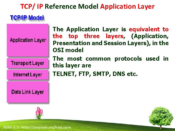 TCP/ IP Reference Model Application Layer • • • The Application Layer is equivalent
