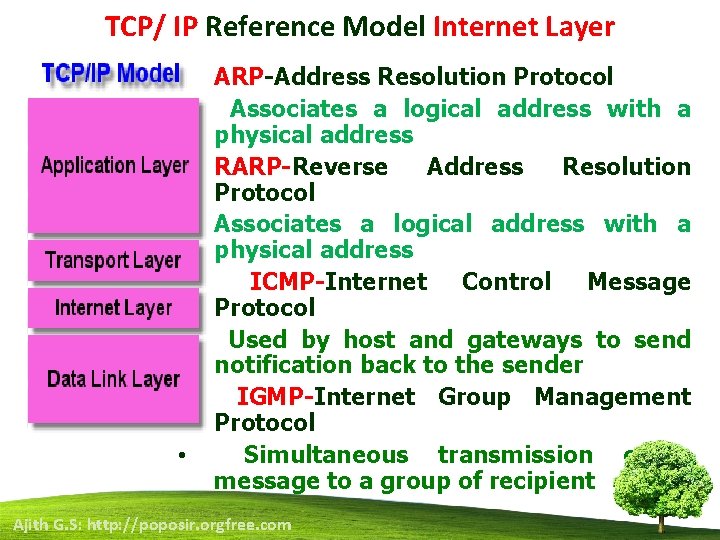 TCP/ IP Reference Model Internet Layer • • ARP-Address Resolution Protocol Associates a logical