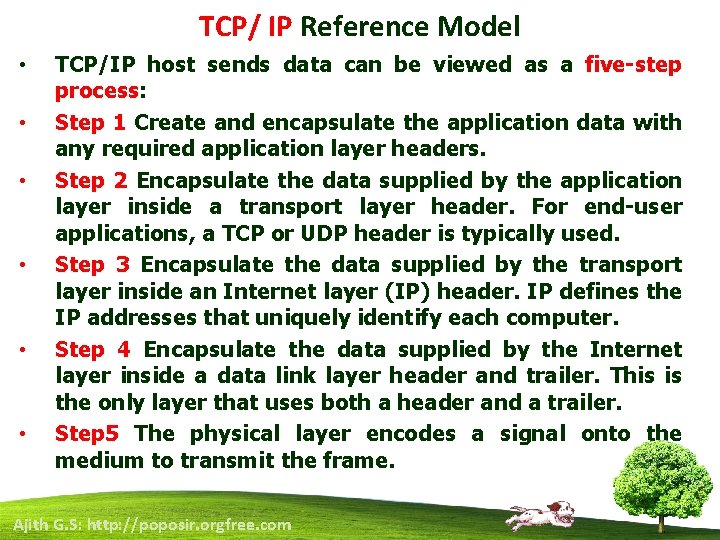 TCP/ IP Reference Model • • • TCP/IP host sends data can be viewed