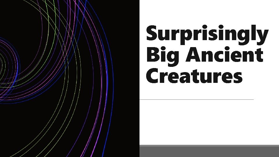 Surprisingly Big Ancient Creatures 