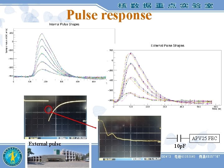 Pulse response External pulse APV 25 FEC 10 p. F 