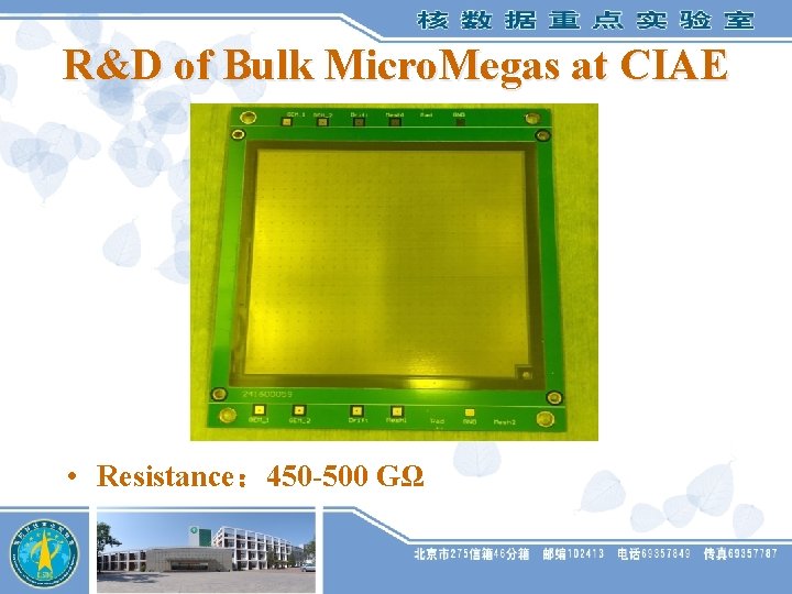 R&D of Bulk Micro. Megas at CIAE • Resistance： 450 -500 GΩ 