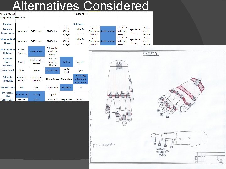 Alternatives Considered 