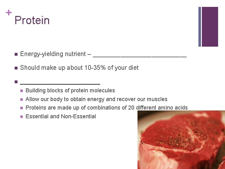 + Protein n Energy-yielding nutrient – ______________ n Should make up about 10 -35%