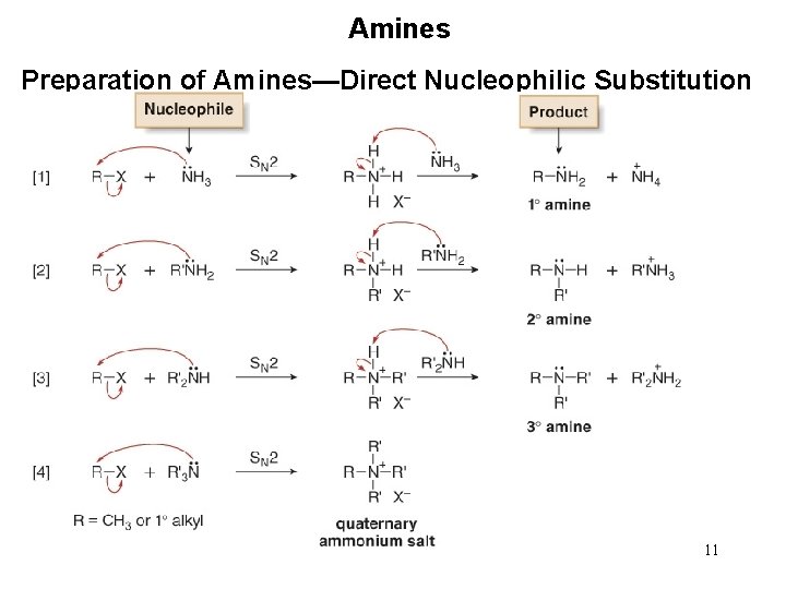 Amines Preparation of Amines—Direct Nucleophilic Substitution 11 