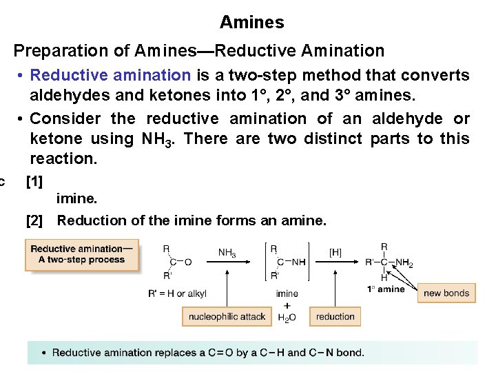 c Amines Preparation of Amines—Reductive Amination • Reductive amination is a two-step method that