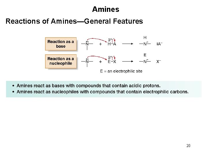 Amines Reactions of Amines—General Features 20 
