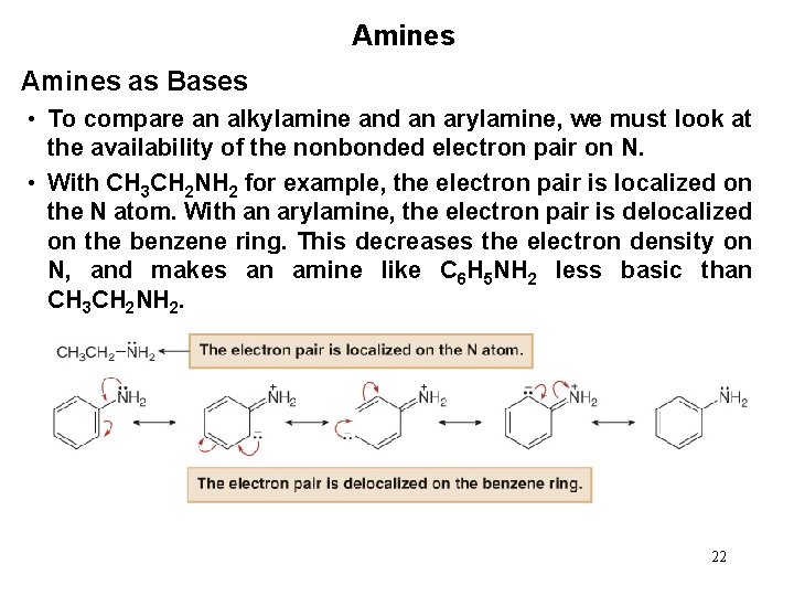 Amines as Bases • To compare an alkylamine and an arylamine, we must look