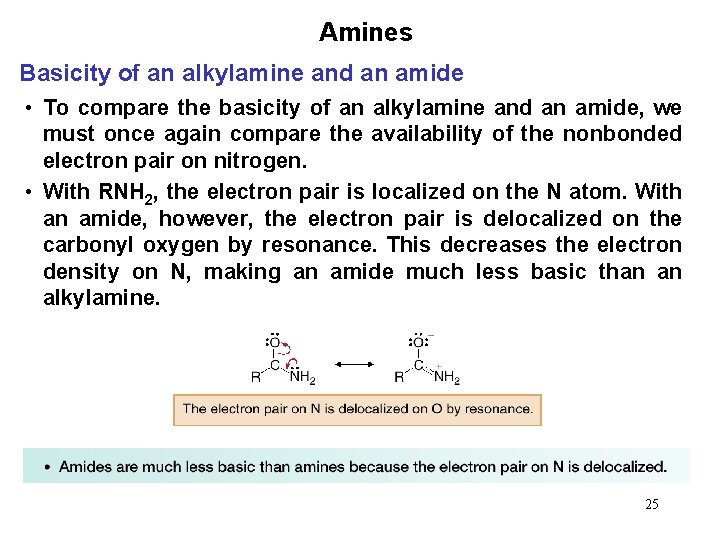 Amines Basicity of an alkylamine and an amide • To compare the basicity of