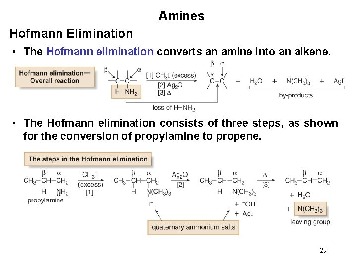 Amines Hofmann Elimination • The Hofmann elimination converts an amine into an alkene. •