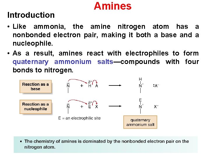 Introduction Amines • Like ammonia, the amine nitrogen atom has a nonbonded electron pair,