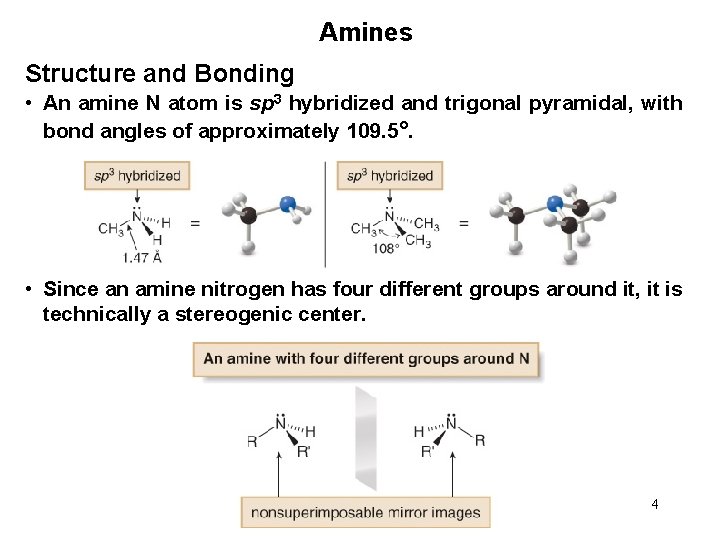Amines Structure and Bonding • An amine N atom is sp 3 hybridized and